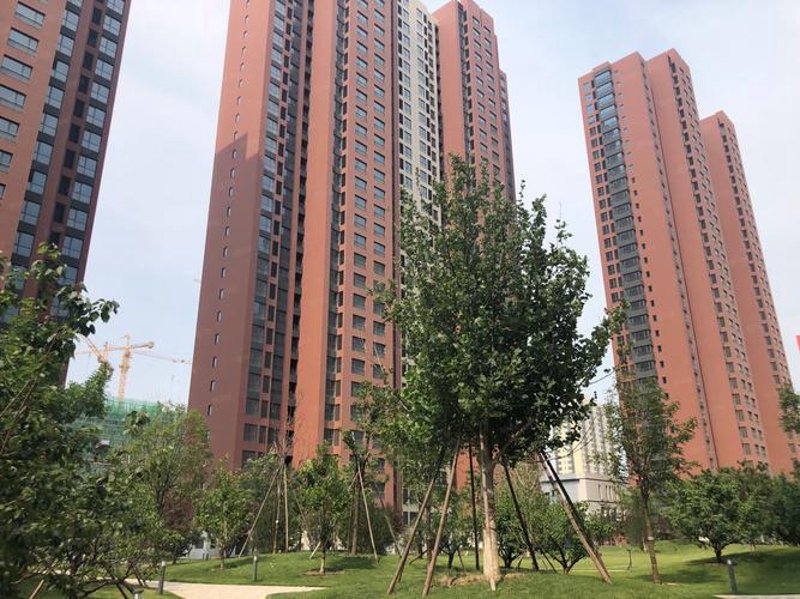 : 房价波动下的燕郊房产市场走势